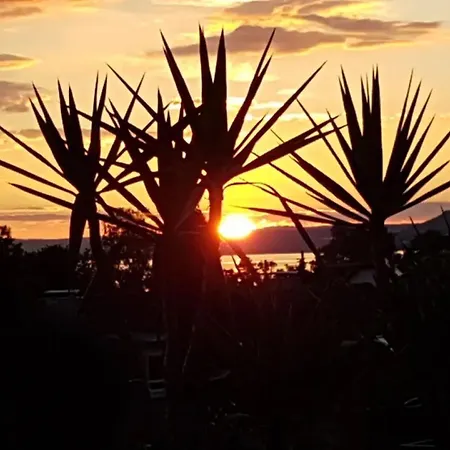 Herter Apartment Uhldingen-Muehlhofen